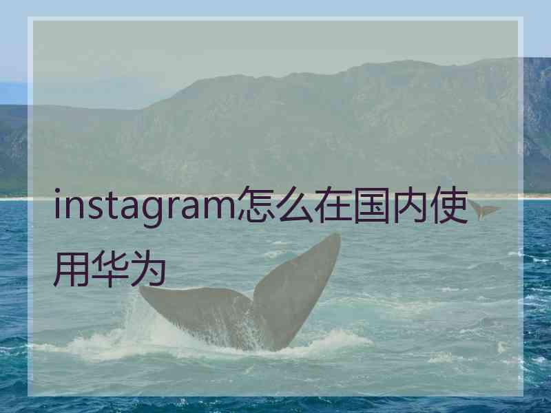 instagram怎么在国内使用华为