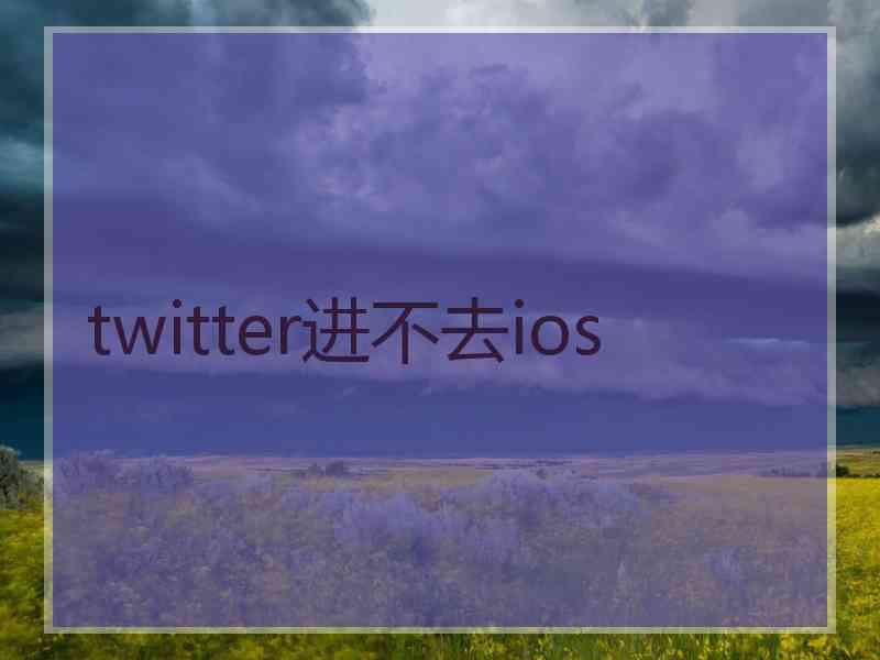 twitter进不去ios