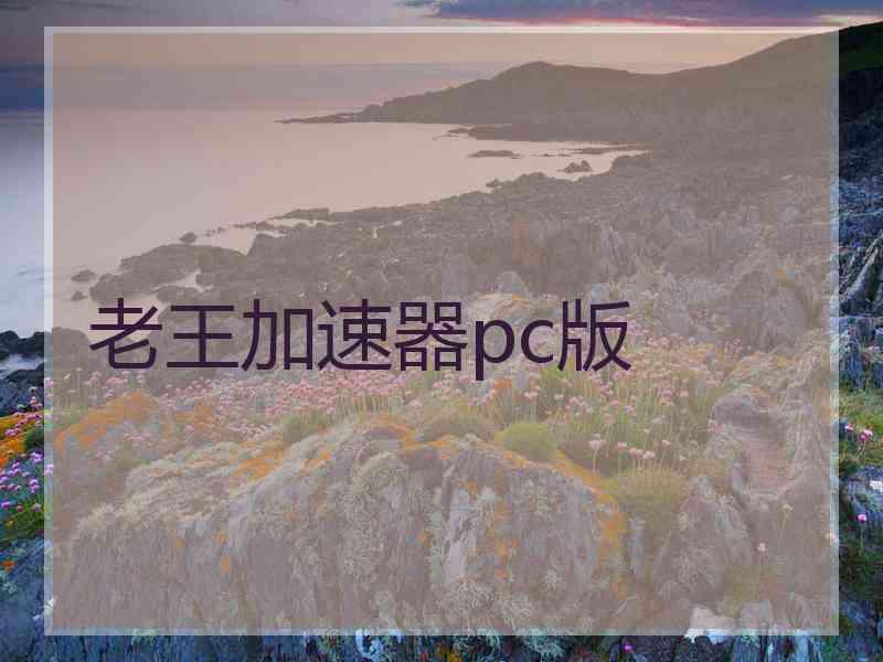 老王加速器pc版