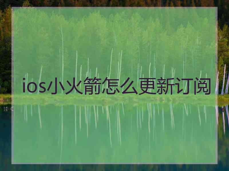 ios小火箭怎么更新订阅