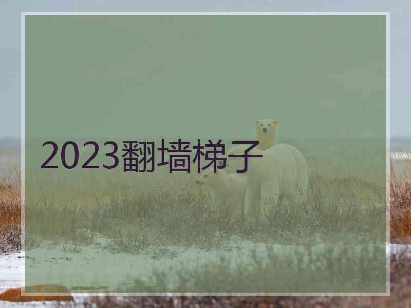 2023翻墙梯子