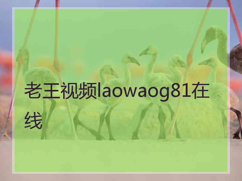 老王视频laowaog81在线