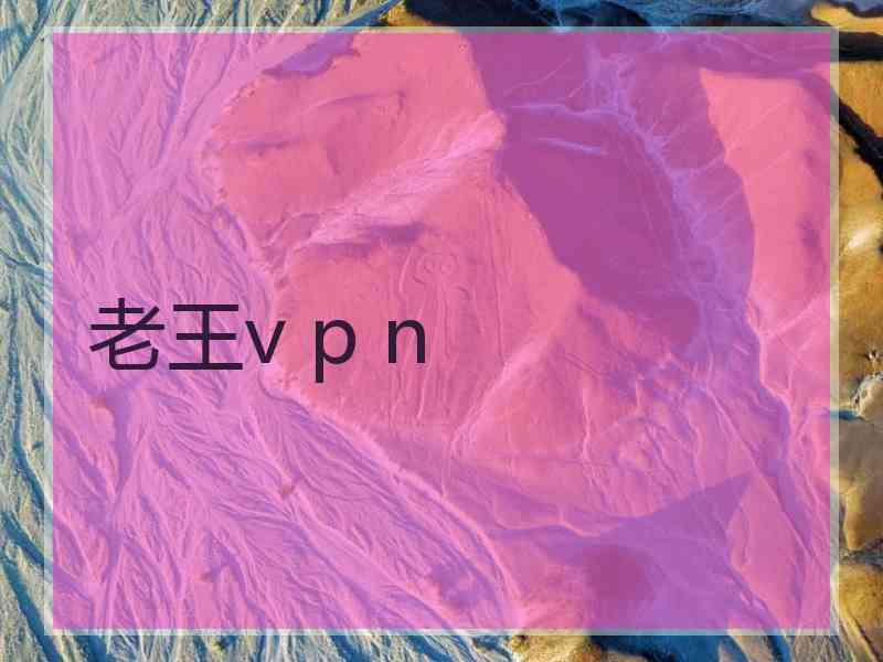 老王v p n