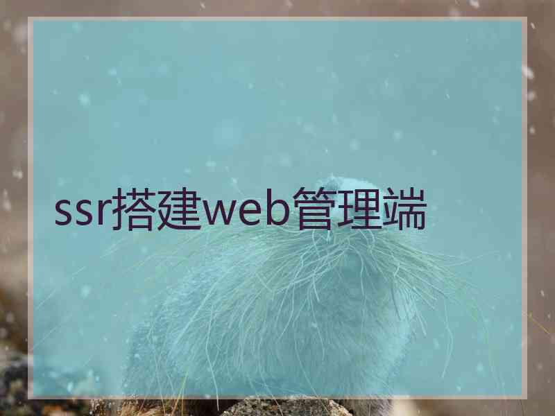 ssr搭建web管理端