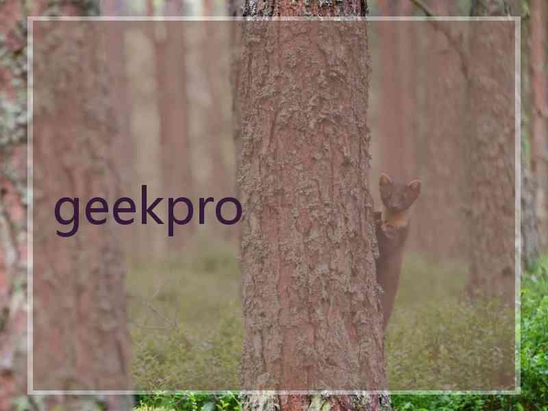 geekpro