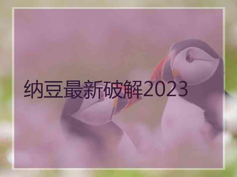 纳豆最新破解2023