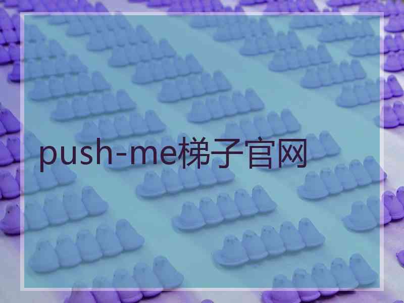 push-me梯子官网