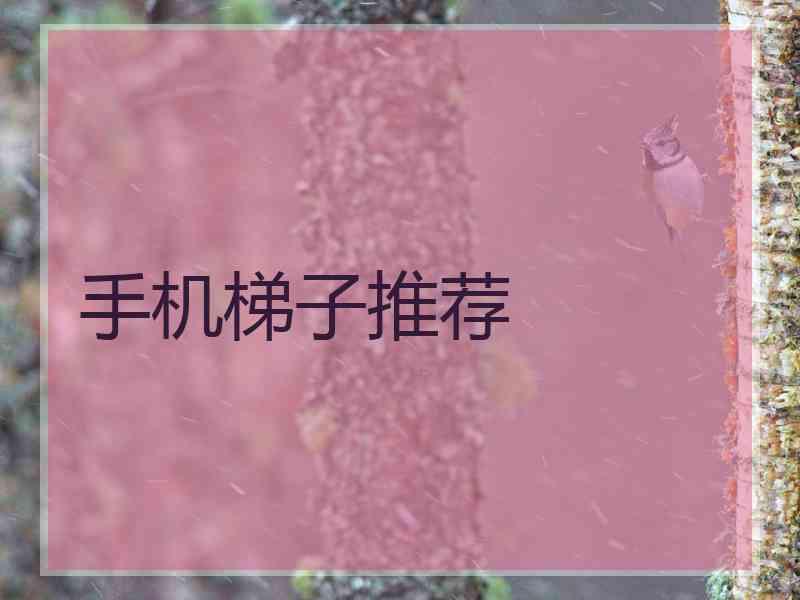 手机梯子推荐