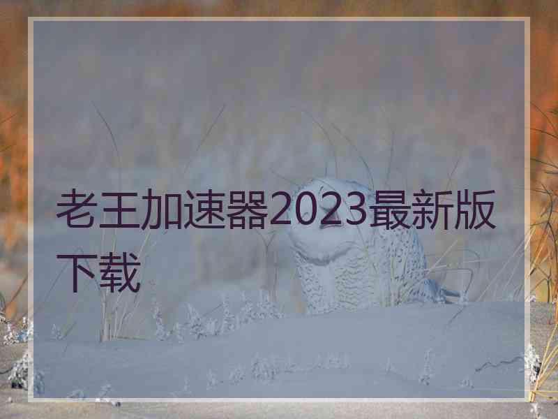 老王加速器2023最新版下载