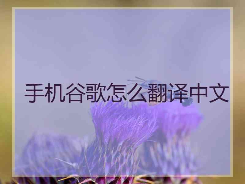 手机谷歌怎么翻译中文