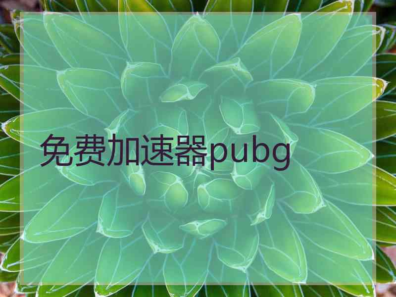 免费加速器pubg