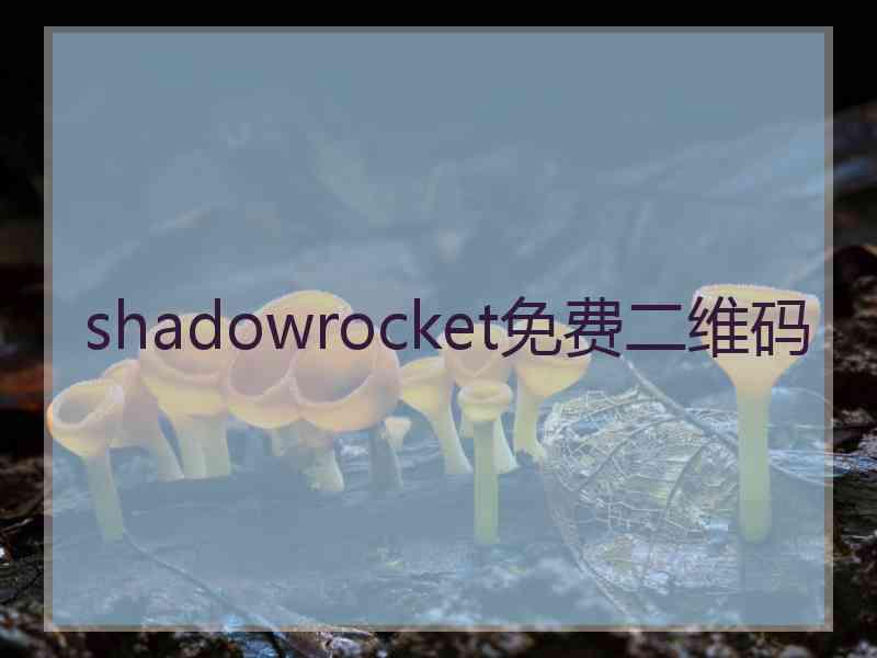 shadowrocket免费二维码