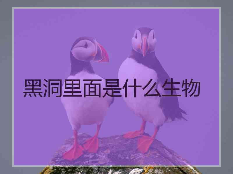 黑洞里面是什么生物