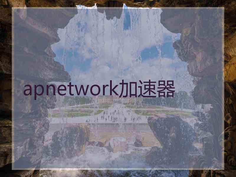 apnetwork加速器