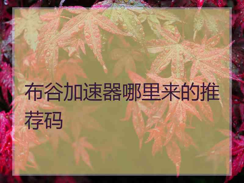 布谷加速器哪里来的推荐码