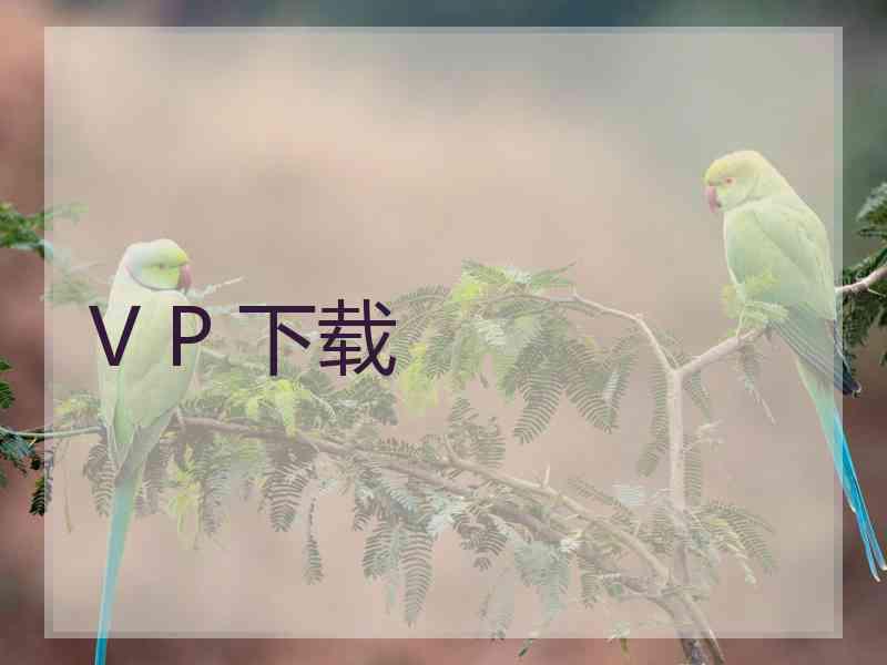 V P 下载