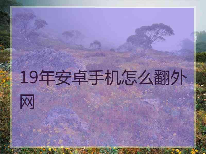 19年安卓手机怎么翻外网