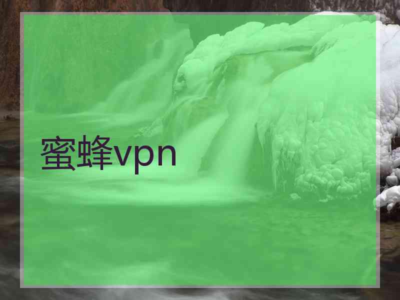 蜜蜂vpn