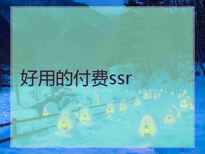 好用的付费ssr