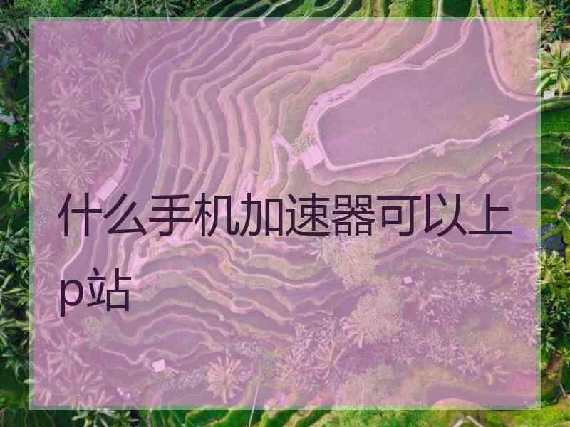 什么手机加速器可以上p站