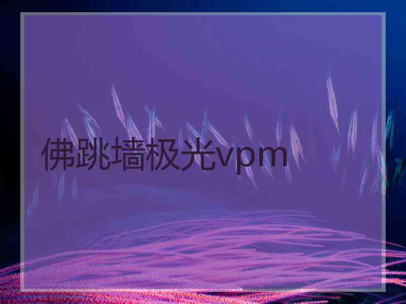 佛跳墙极光vpm