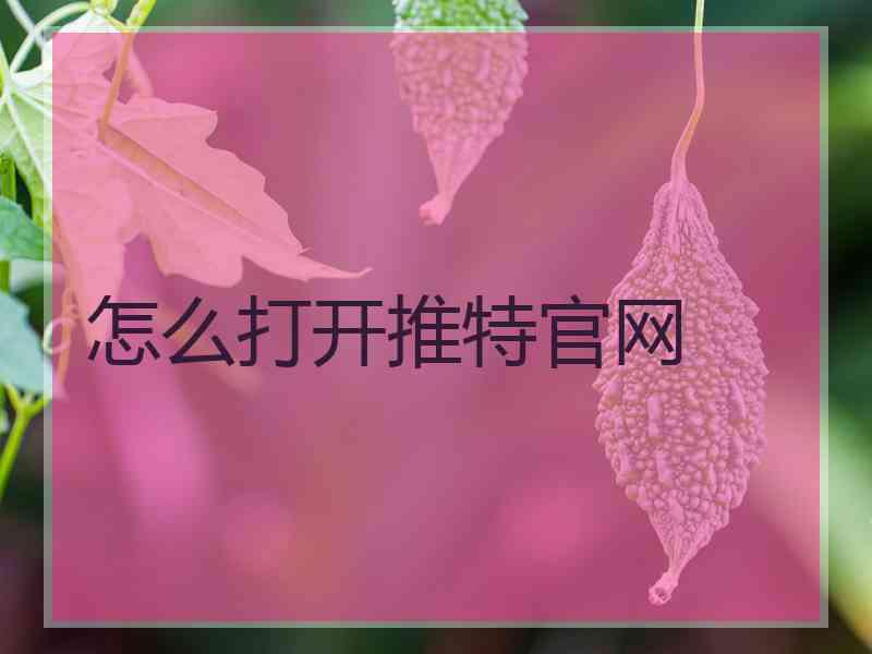 怎么打开推特官网