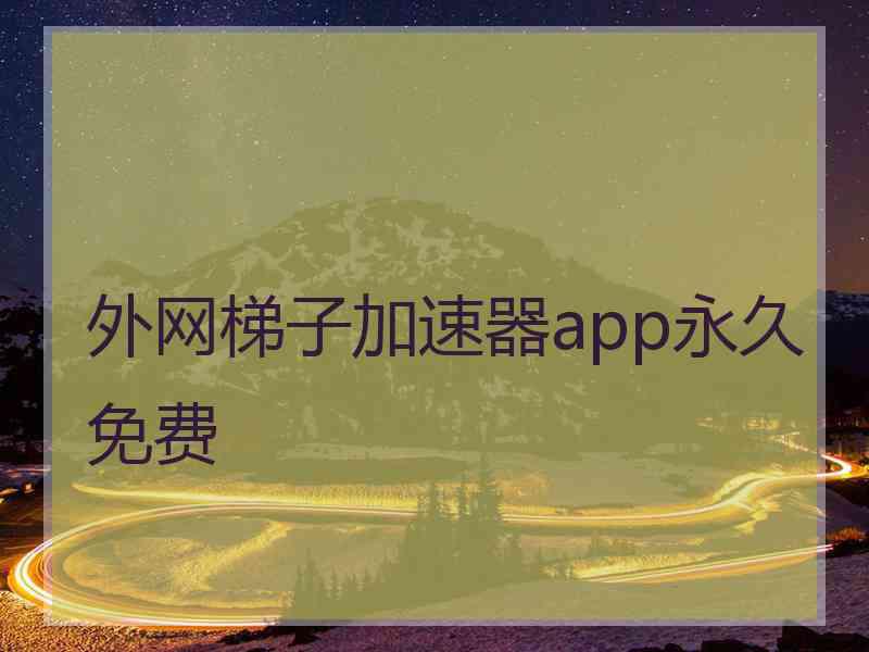 外网梯子加速器app永久免费