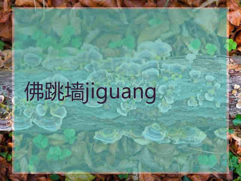 佛跳墙jiguang