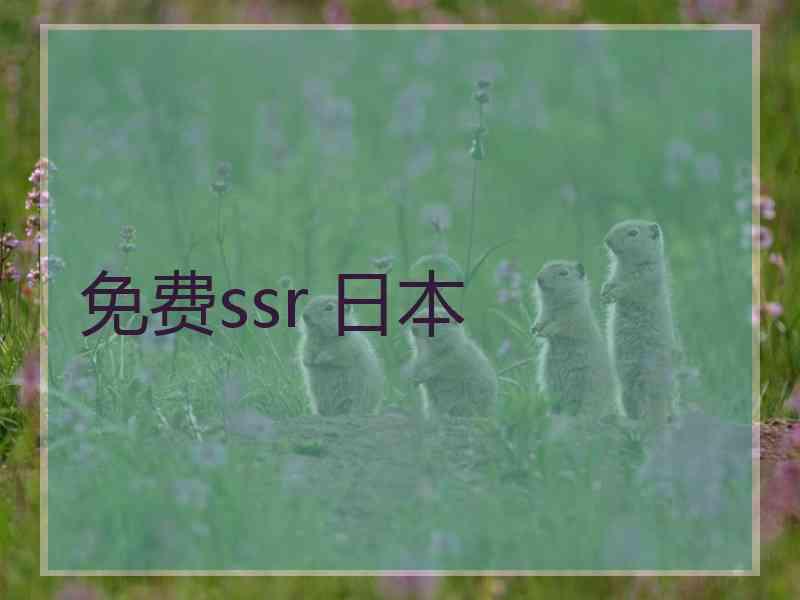 免费ssr 日本