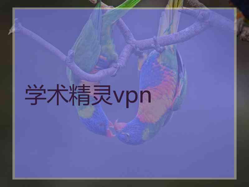 学术精灵vpn