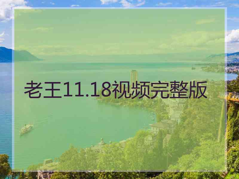 老王11.18视频完整版