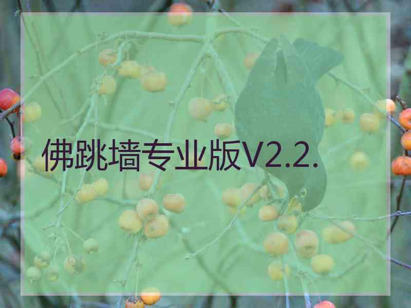 佛跳墙专业版V2.2.