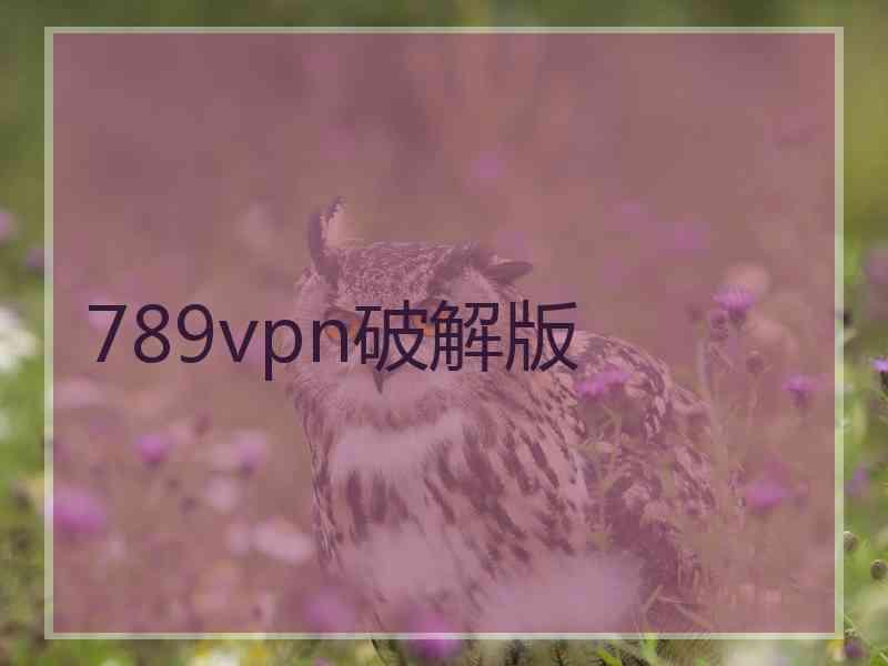 789vpn破解版