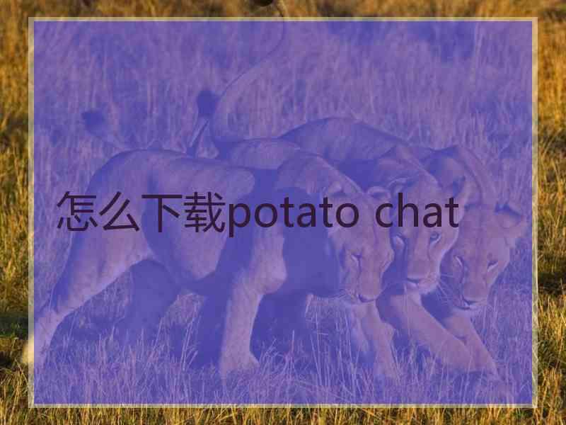 怎么下载potato chat