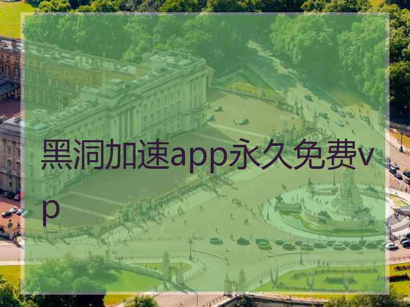 黑洞加速app永久免费vp