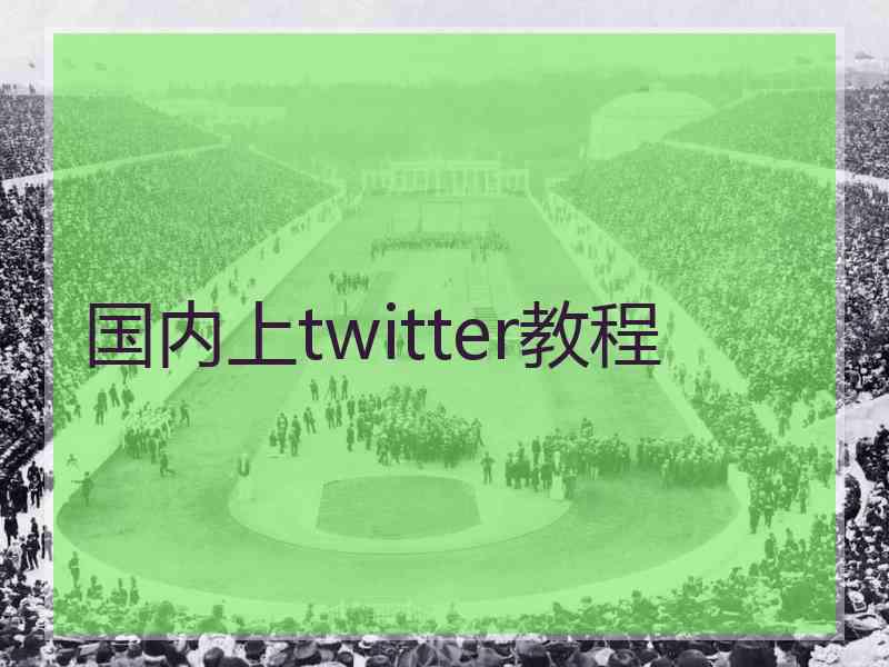 国内上twitter教程