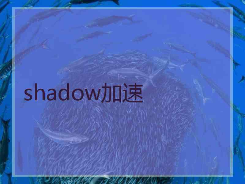 shadow加速