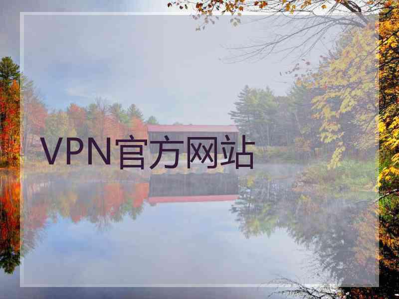 VPN官方网站