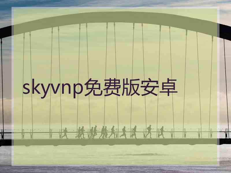 skyvnp免费版安卓