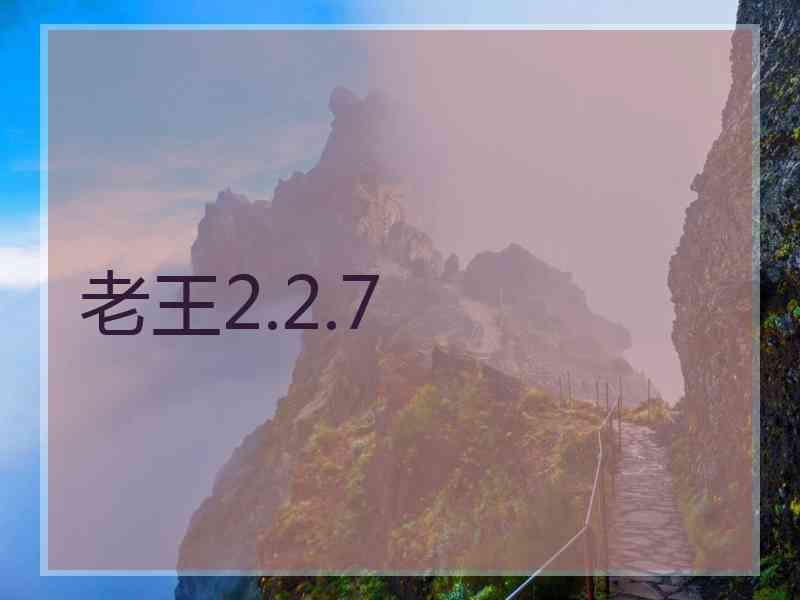 老王2.2.7