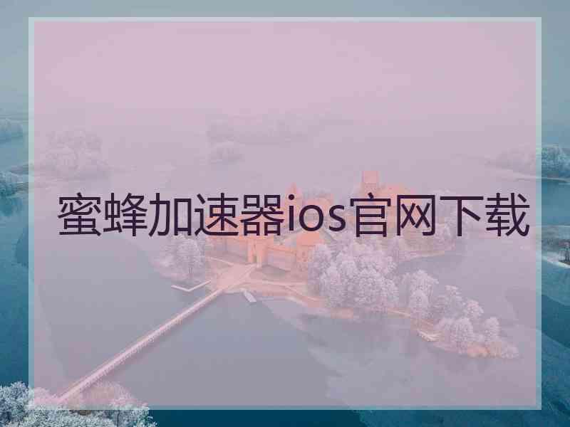 蜜蜂加速器ios官网下载