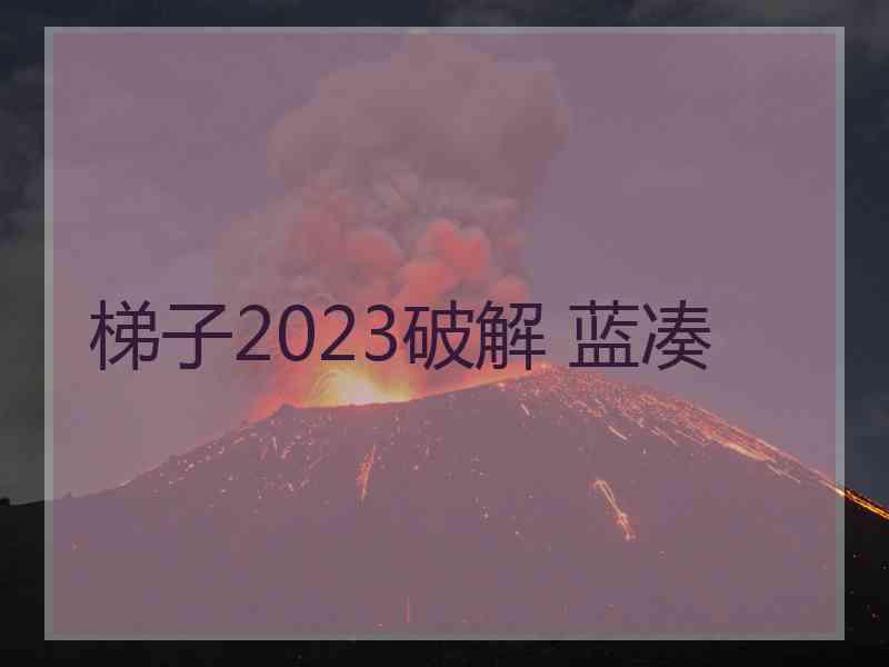 梯子2023破解 蓝凑