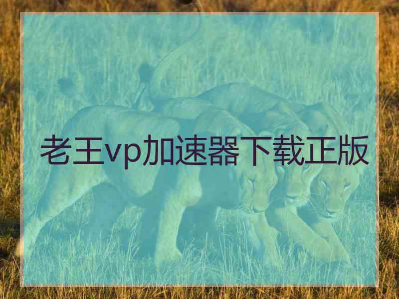 老王vp加速器下载正版