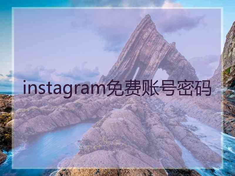 instagram免费账号密码