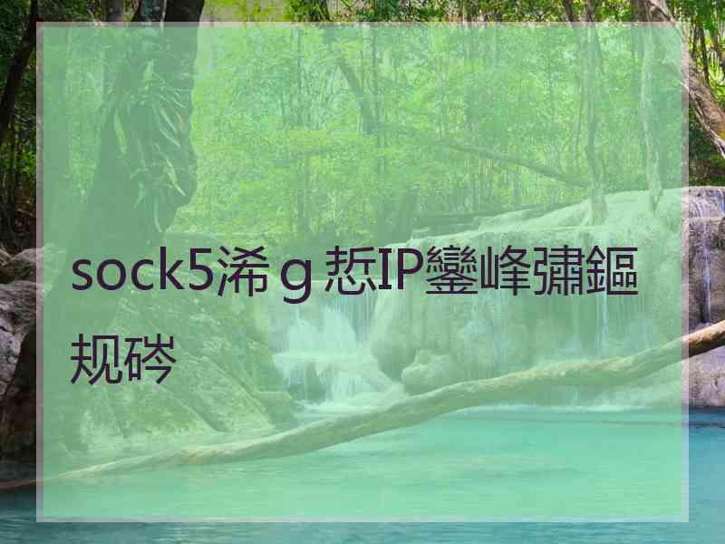 sock5浠ｇ悊IP鑾峰彇鏂规硶