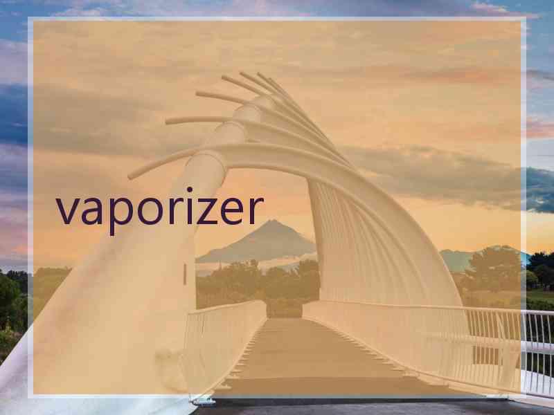 vaporizer