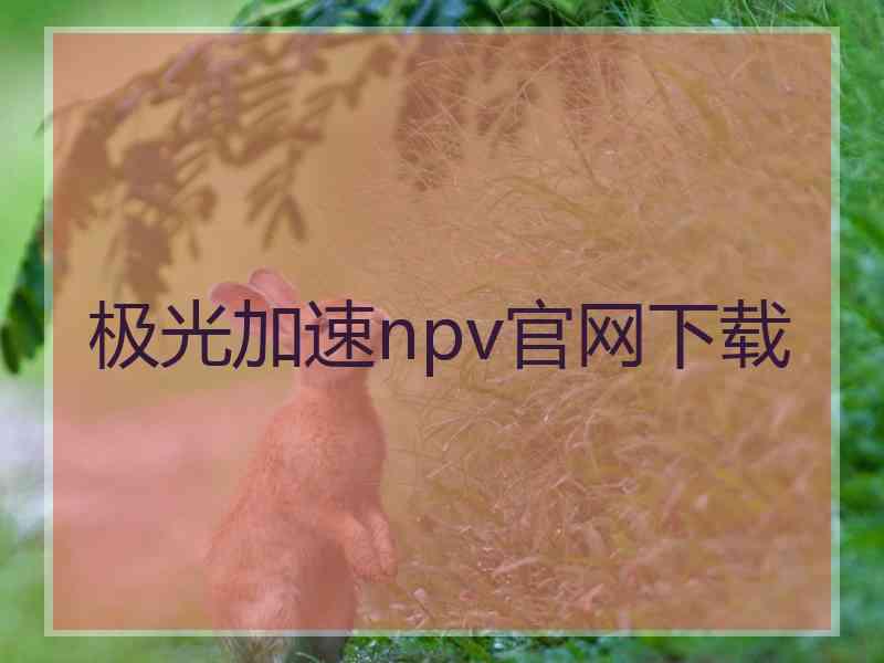 极光加速npv官网下载