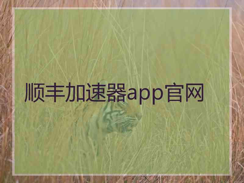 顺丰加速器app官网