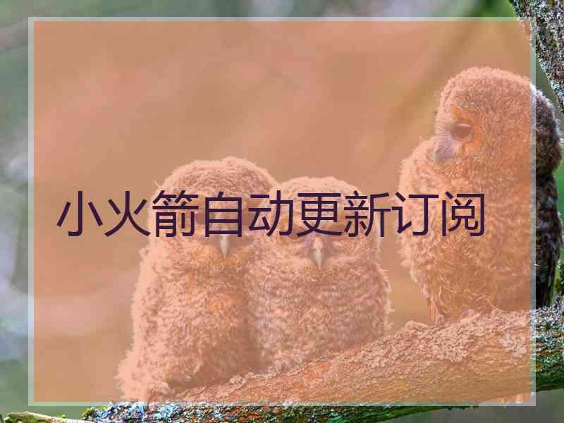 小火箭自动更新订阅