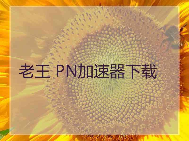 老王 PN加速器下载